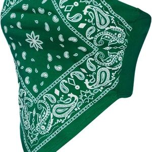 Green Paisley Bandana